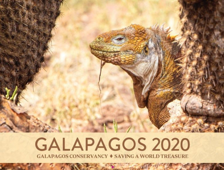 Galapagos Conservancy