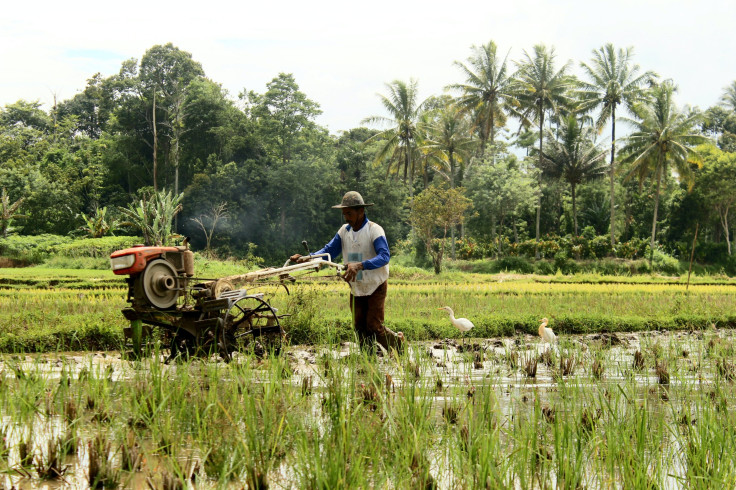 Farmer