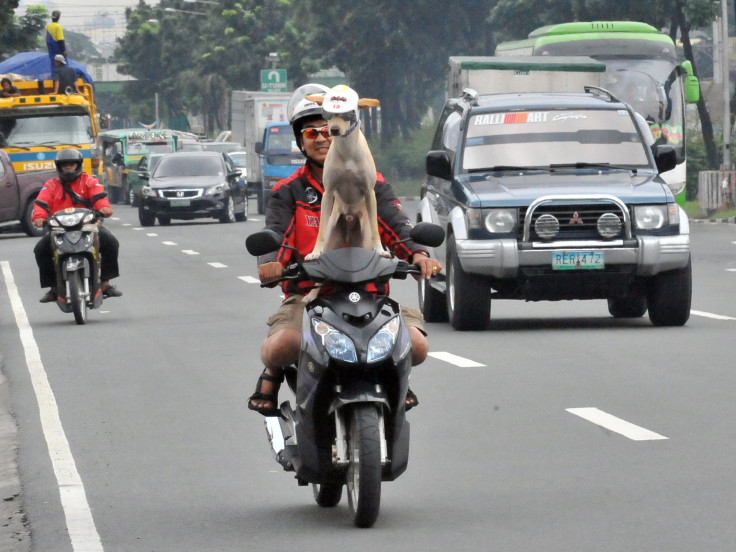 Motorist Gilbert rides on a motorcycle with his pet dog Bogie as they travel on a road in Manila