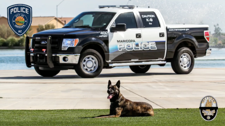 Maricopa PD officer was subjected to a 20-hour suspension as a result of his police K9's untimely death.