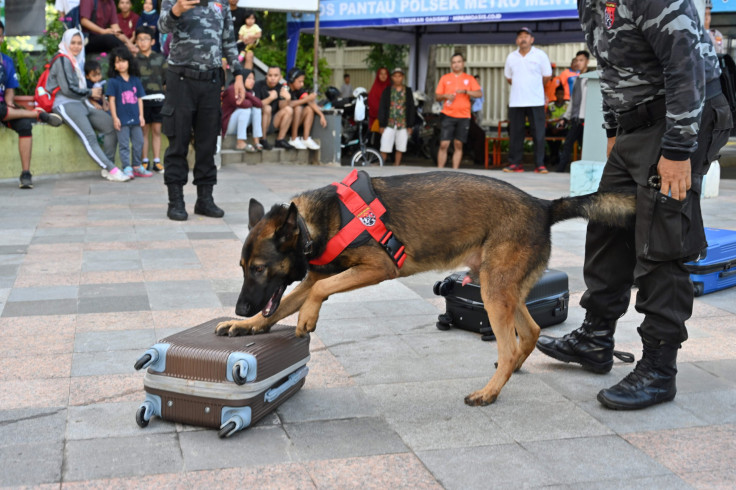Jimmy, an Indonesian police K-9 squad working dog, sniffs suitcases for narcotics during an anti-drug drill in Jakarta