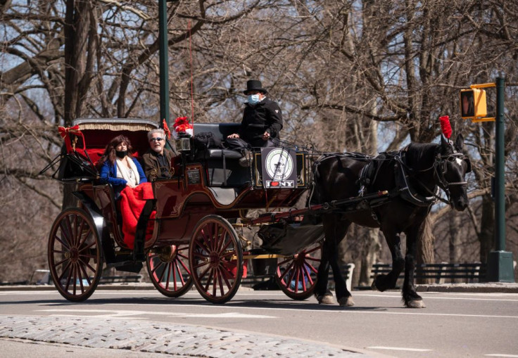 Horse carriage