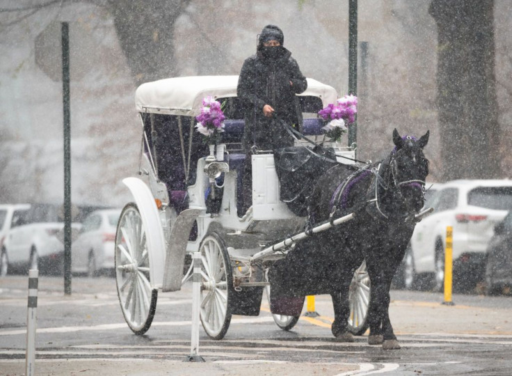 Horse carriage