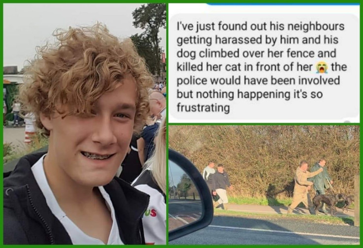 22-year-old orders dogs to attack badger that eventually died