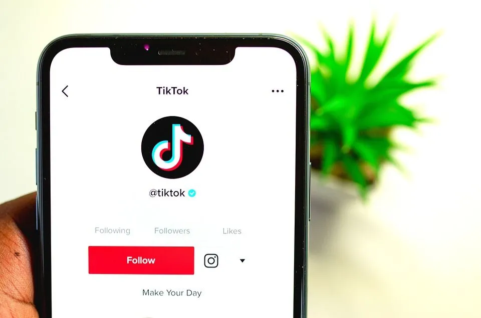 TikTok Rivals Twitter With New Text Format - Vimarsana News