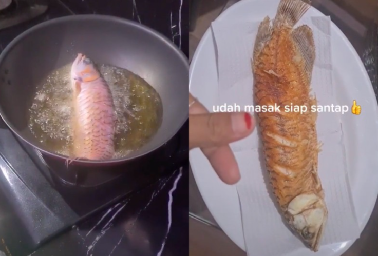 Wife fries husband's expensive pet fish