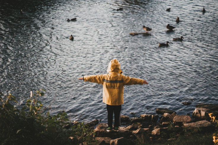 andrik-langfield-bzdPNPXG6xA-unsplash