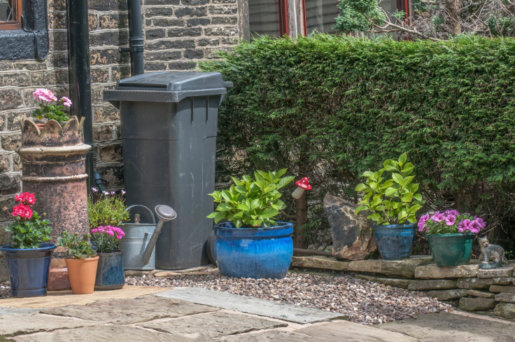 Plant pots Urban Gardening representation image