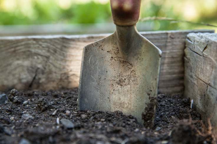 garden-g115056b54_1920