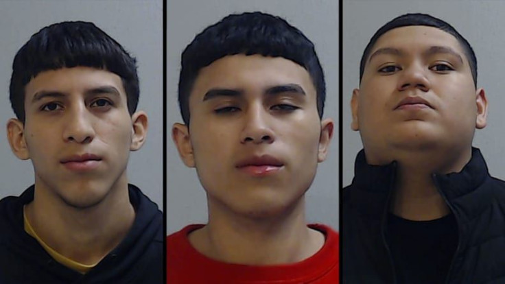Hidalgo County Court Records