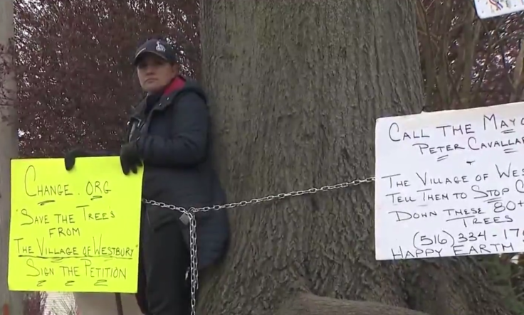 Mother chains herself to tree