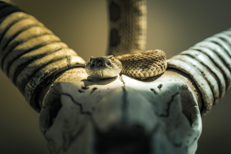cody-nottingham-5nJHtUTYe1M-unsplash