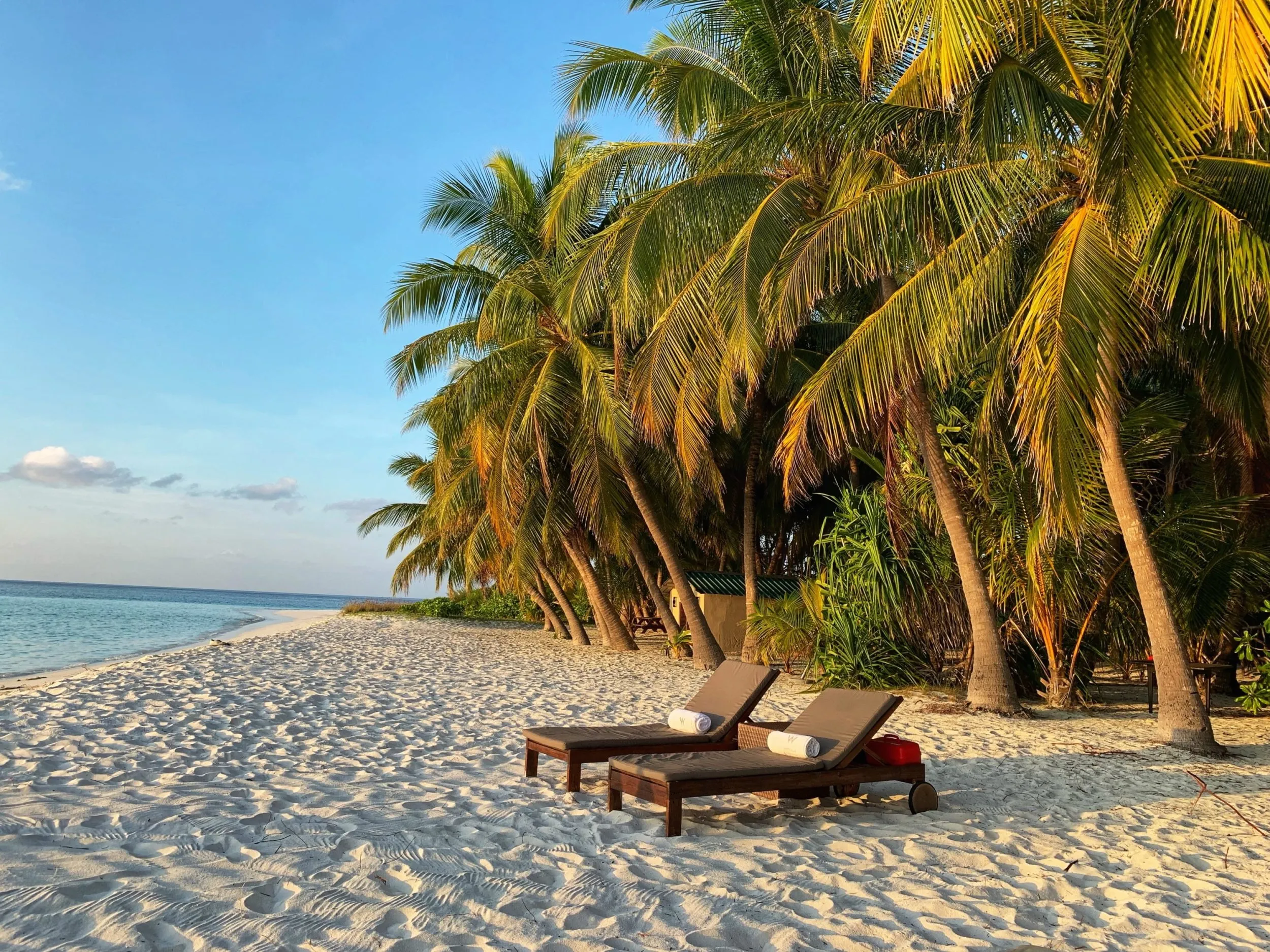The U.S. Department of State Issues a Travel Advisory for the Bahamas; Here's Why - Vimarsana News