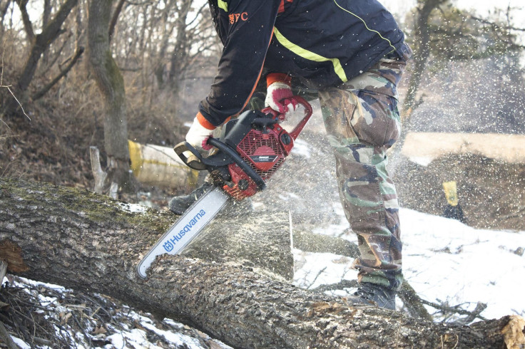 cutting-trees-g3cca845b1_1920