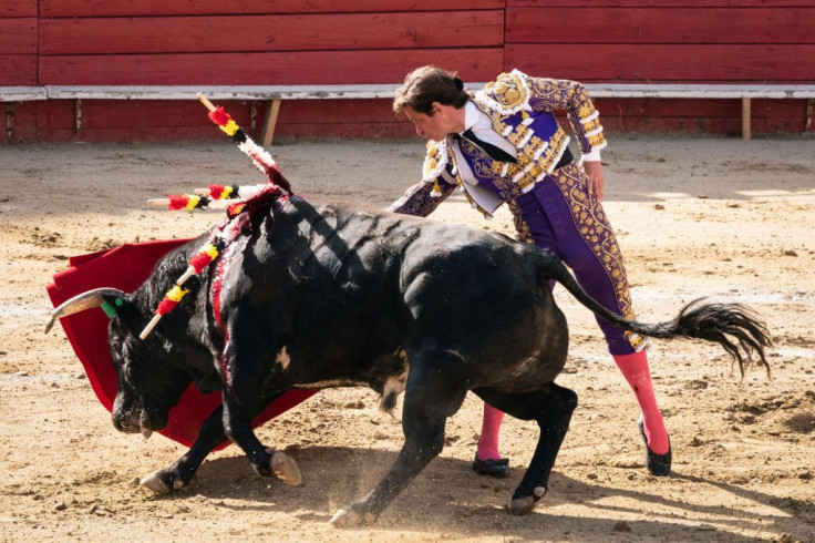 Julian "El Julio" Lopez fights a bull in Tijuana, Mexico