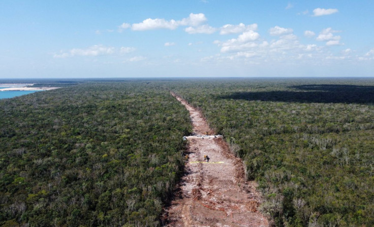 Greenpeace protests against the construction of a section of the Maya Train