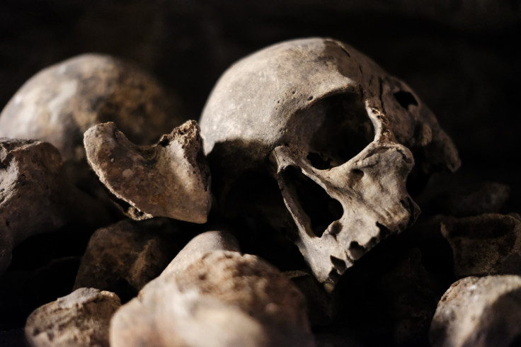 Mexican Human Skulls Rep. Pic