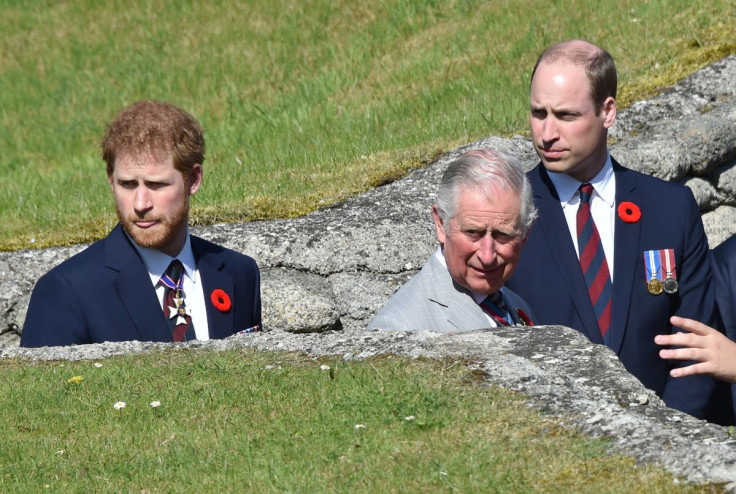 Princes William and Harry with King Charles