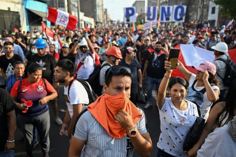 People From Peru's Andean Region Protest Against President Dina ...