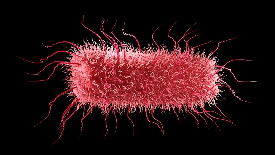 Serious Public Health Alert Drug Resistant Stomach Bug Spreading Across US   Bacteria 