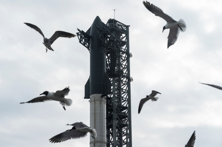 SpaceX launch