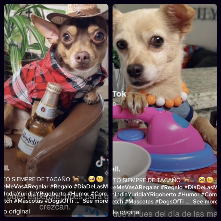 Screenshot picture of Tik Tok video