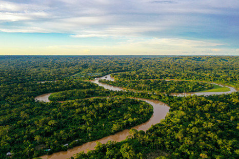 amazon river