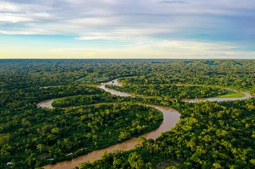 Amazon Summit: New Declaration Lacks Shared Goal To 'End Deforestation' - Vimarsana News