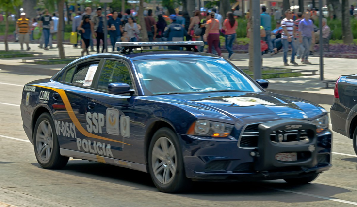 Police vehicle. Representation image. 