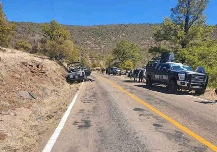 Chihuahua drug incident