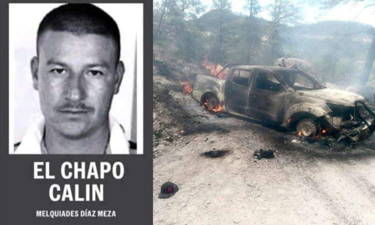 El chapo calin