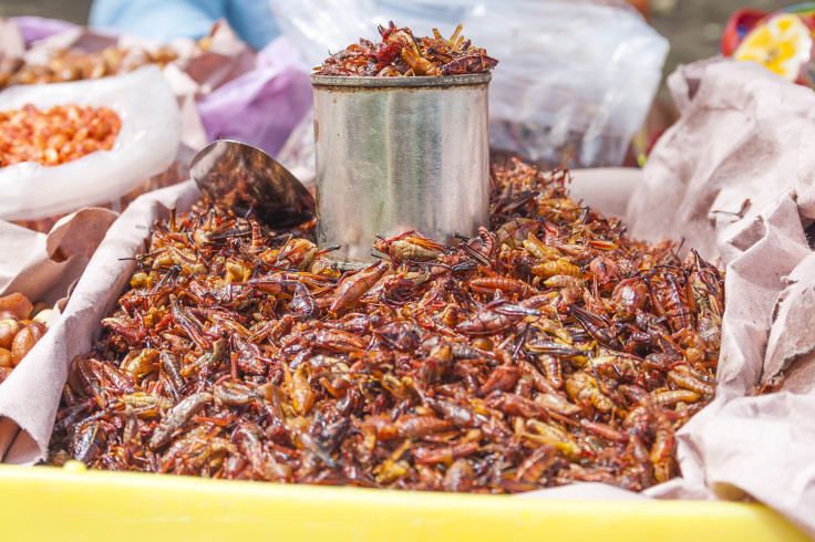 Chapulines