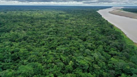 Amazon Rainforest