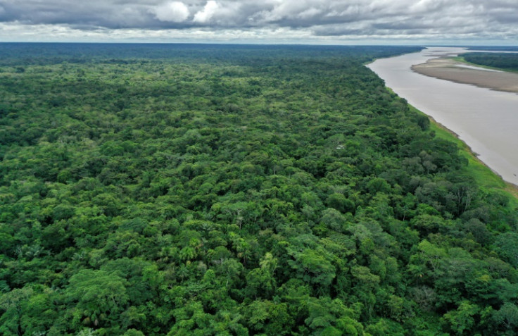 Amazon Rainforest