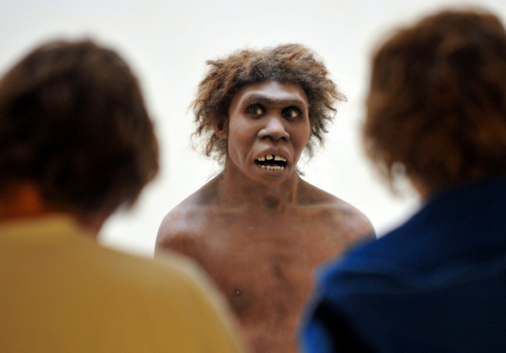 Neanderthals