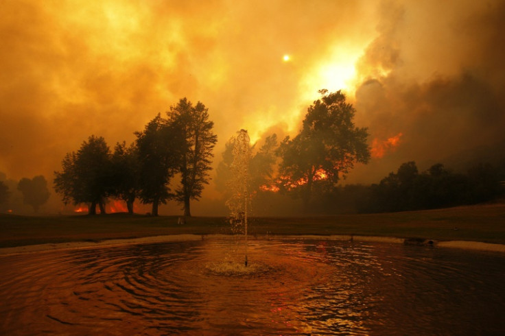 Wildfire