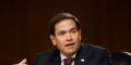 US Senator Marco Rubio