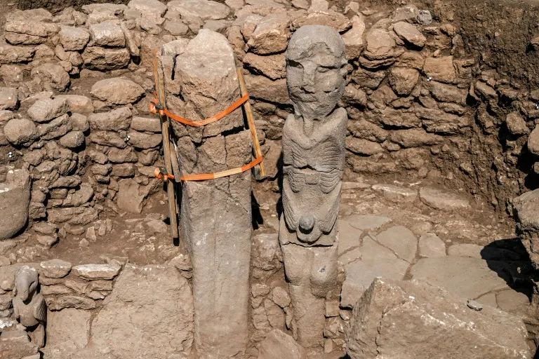Phallus And The Boar: Turkey Digs Yield Clues To Human History - Vimarsana News