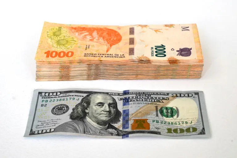 Debt, Inflation And The Peso: Argentina's Election Worries - Vimarsana News
