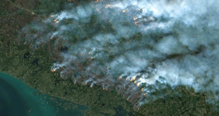 Massive fires have scorched across Canada's forests