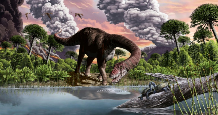 How did the asteroid kill off the dinosaurs? 