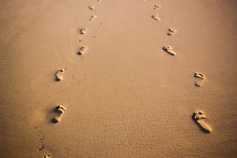 Two sets of footprints on a beach
