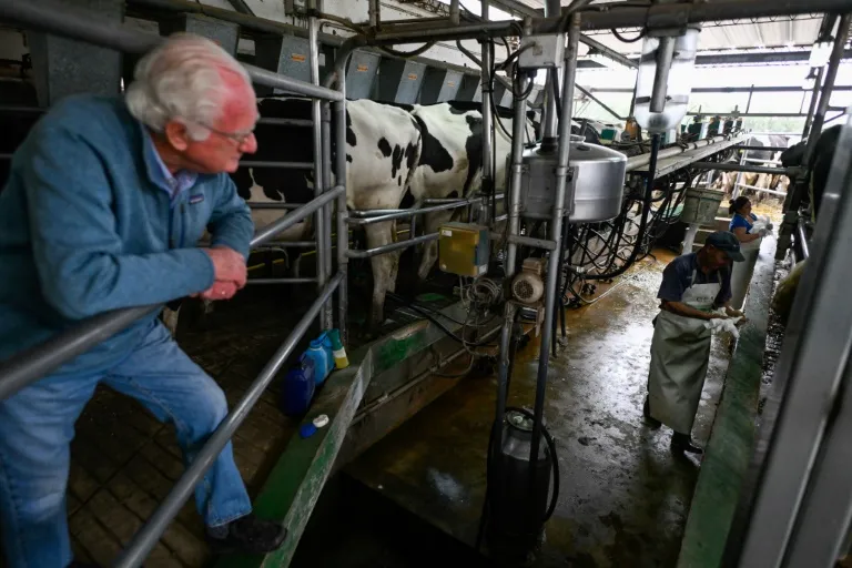 Argentina's Frustrated Farmers Embrace Javier Milei Ahead of Runoff Election Against Sergio Massa - Vimarsana News