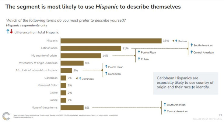 Hispanic vs. Latino: Which Term is Preferred in this Demographic?