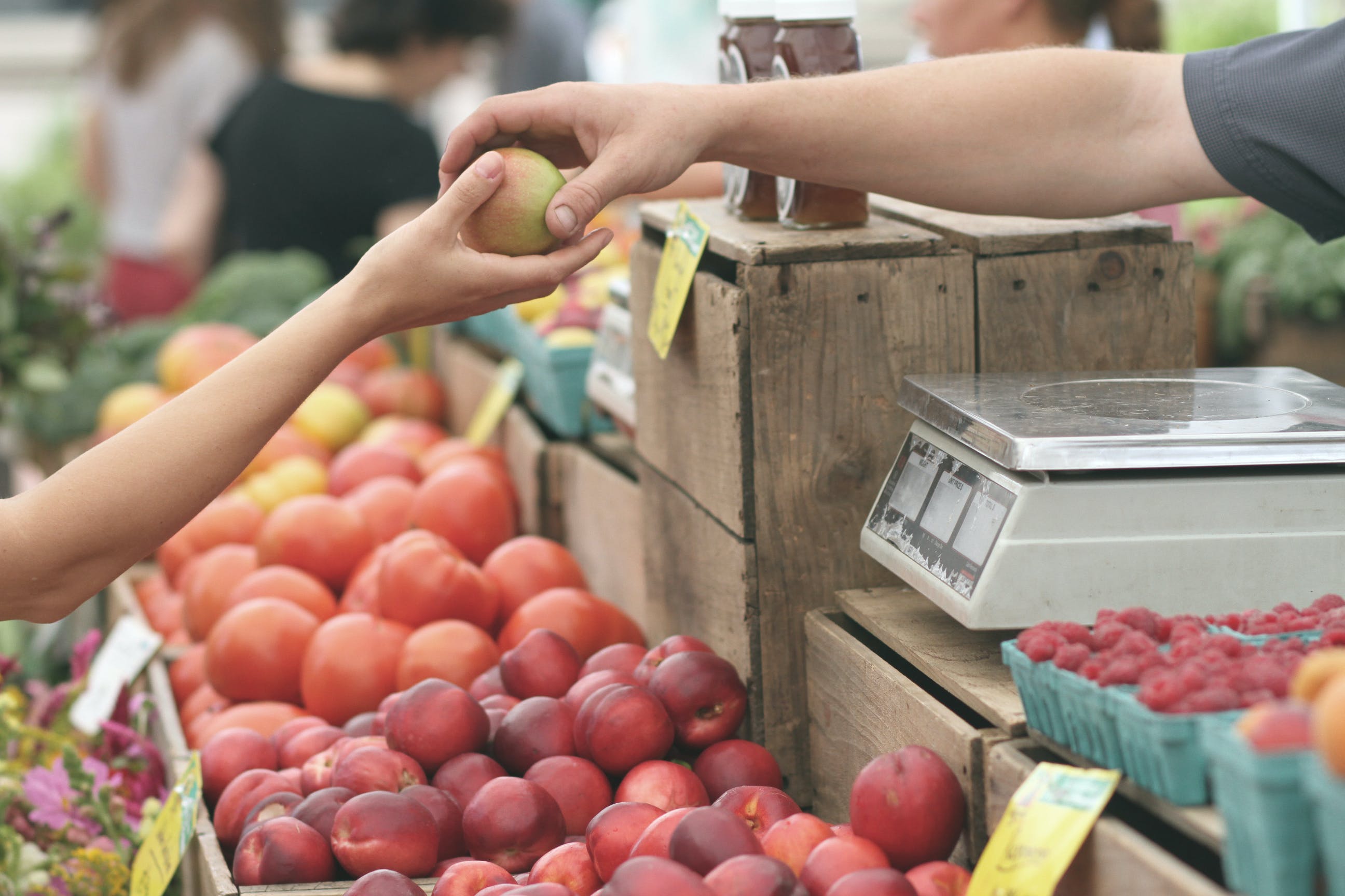 Combatting Food Stamp Fraud Your Guide to Detection and Reporting