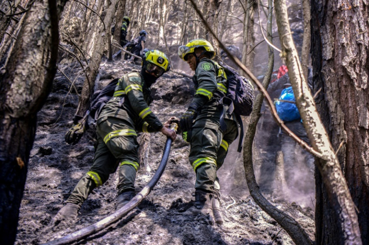 Forest fires are raging in Colombia amid record temperatures linked 