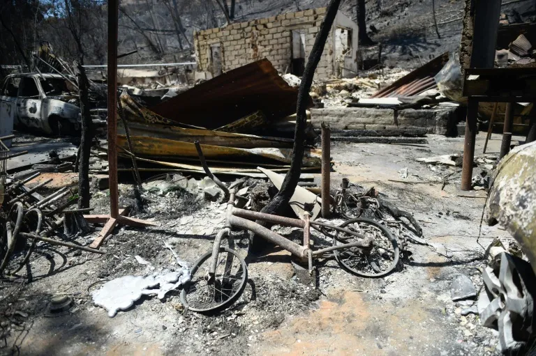 Chile's Biggest Botanical Garden Like 'Smoker's Lung' After Wildfire - Vimarsana News