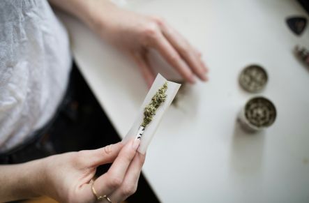 Rolling a Marijuana Joint