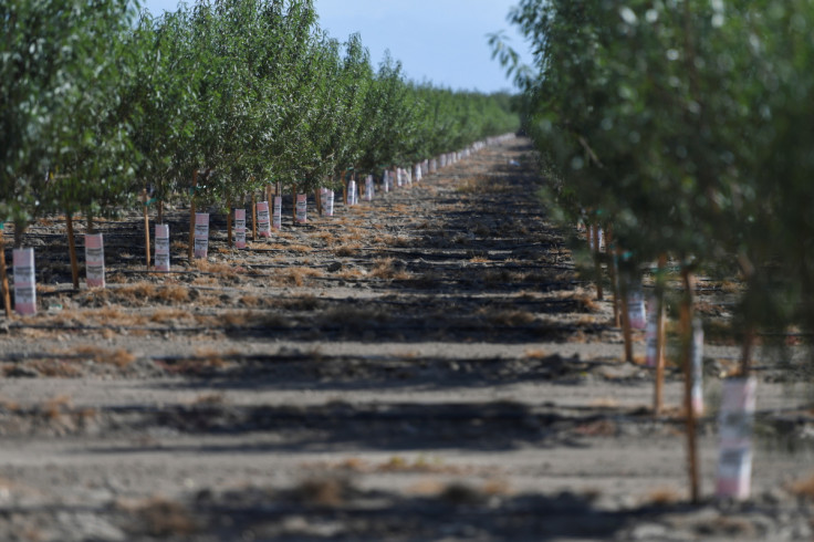 California Farm