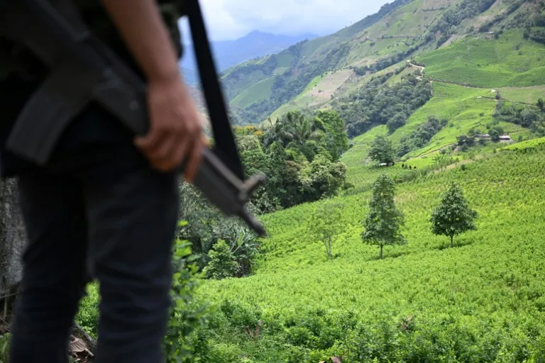 Not just ammunition: Colombia says missing missiles and anti-tank weapons are also linked to trafficking - Vimarsana News
